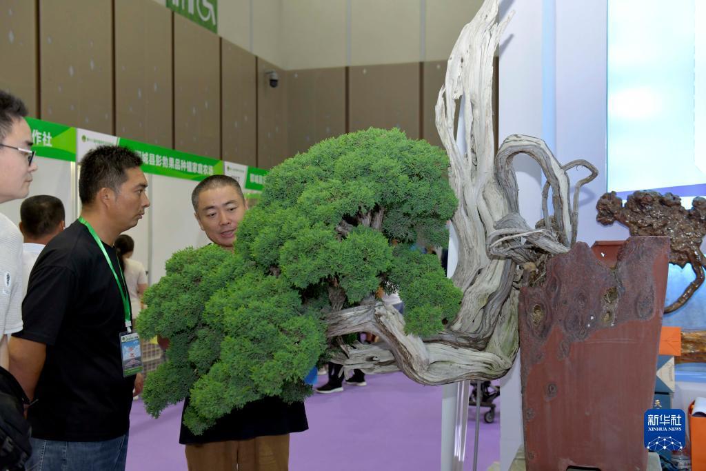 新萄京网址